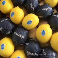 Frische Zitrusfrucht-Eureka-Zitronen zu verkaufen